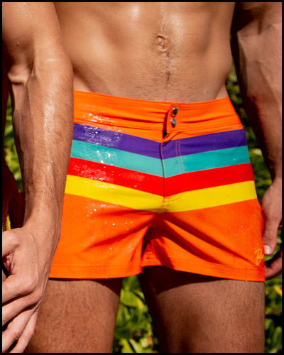 STRIPE'A'POSE REMIX - Beach Shorts