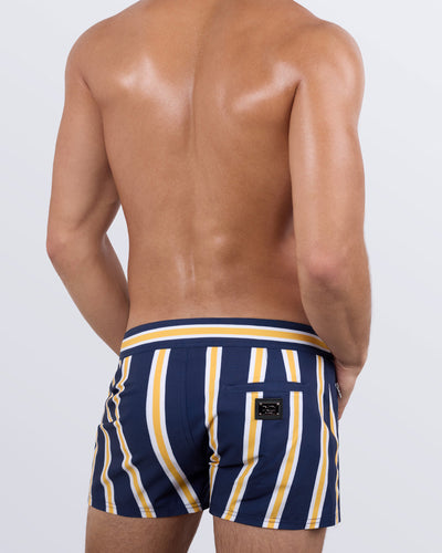 SUN CHASING STRIPES - Beach Shorts | DC2