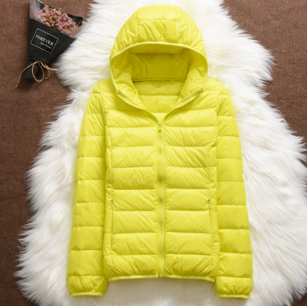 North - New Waterproof Jacket with White Duck Down